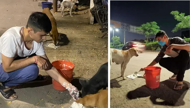 Humanity