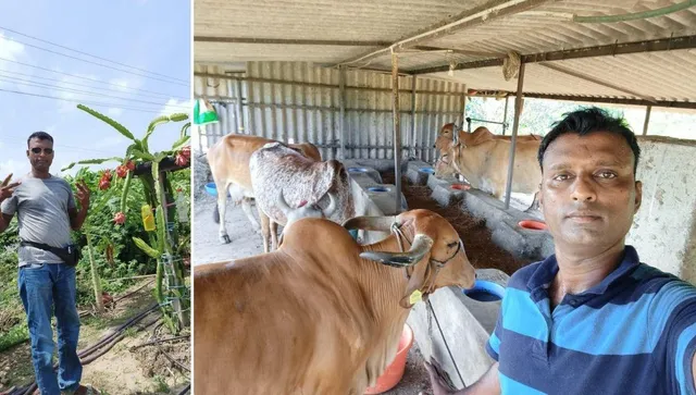 Milk Business Ideas