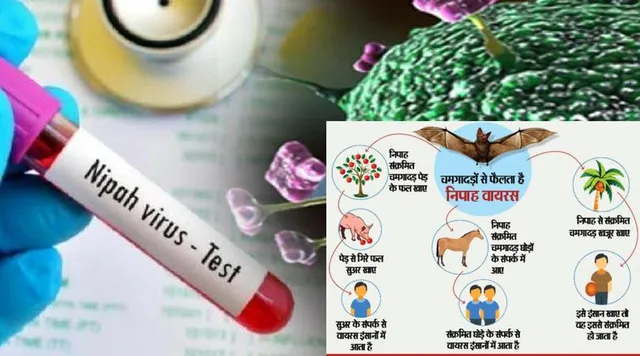 निपाह वायरस : कारण, निवारण, बचाव और सावधानी!