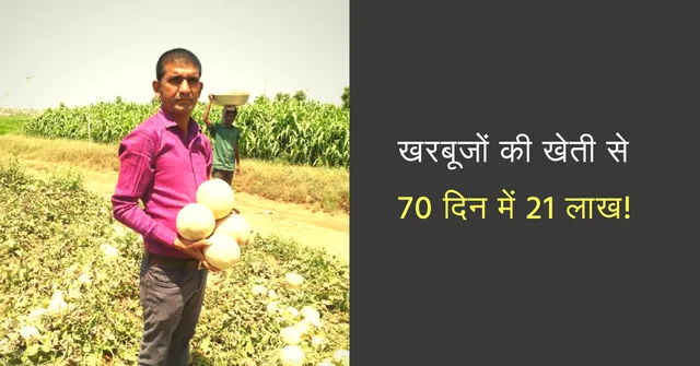 70 दिनों में इस किसान ने खरबूज़े की खेती से कमाये 21 लाख रुपए; जानिये कैसे!