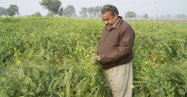sudhir agrawal