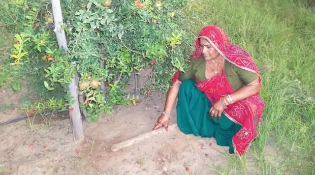 "दीमक अच्छे हैं!" महिला किसान की इस शोध ने दिलवाई अंतरराष्ट्रीय पहचान