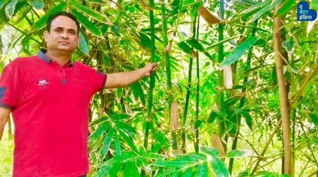 बांस की खेती से करोड़पति बना महाराष्ट्र का यह किसान!