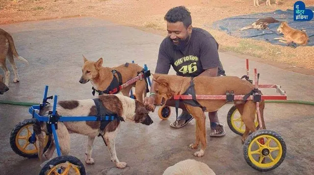 कोरोना हीरोज़: लॉकडाउन में बेज़ुबानों का सहारा!