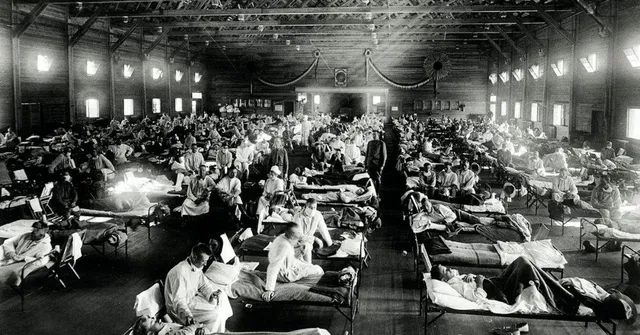 History of pandemics