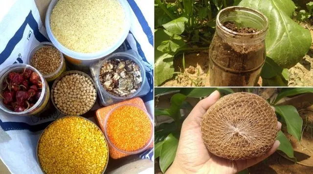 शैम्पू से लेकर दर्दनिवारक तक: 10 चीजें जिन्हें मैं बाजार से नहीं खरीदती!