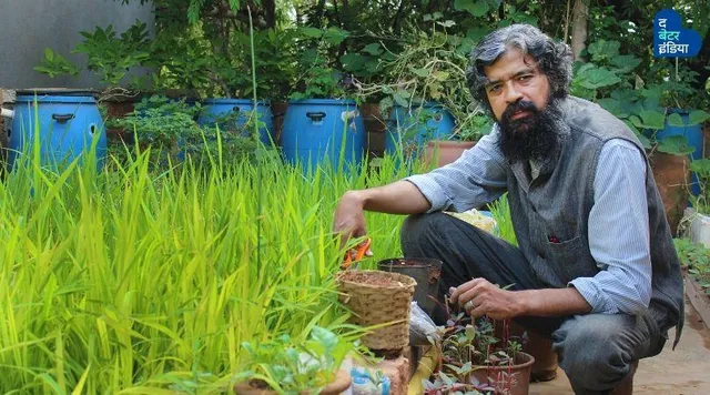 नहाने और कपड़े धोने के बाद बचने वाले पानी से, छत पर उगा रहे हैं धान!