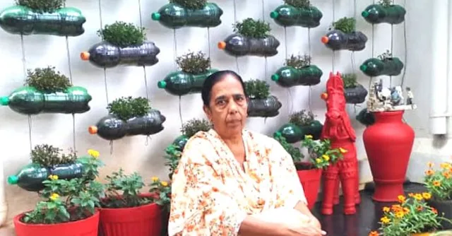 Mysuru woman vertical garden