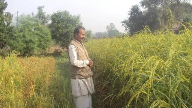 600 से अधिक देशी बीज किए विकसित, 9वीं पास किसान ने तोड़े कई विश्व रिकॉर्ड।
