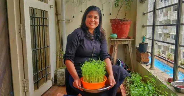 ...और ऐसे सीखा मैंने घर पर सब्जियाँ उगाना, शुक्रिया 'द बेटर इंडिया'!