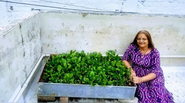 63 वर्षीया की फिटनेस का राज़: घर पर उगाई सब्ज़ियाँ और सौर कुकर में पकाया खाना