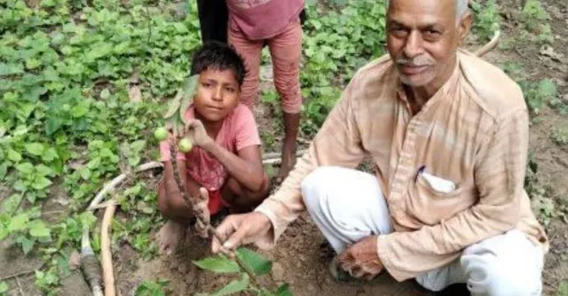 गेंदे के फूल के तेल ने बदली किसान की किस्मत, गरीबी को मिटा ले आये अच्छे दिन