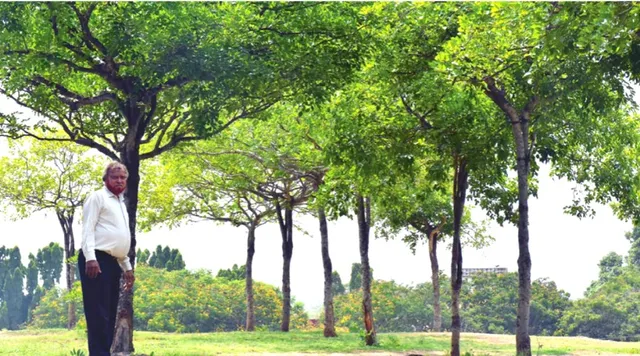 Green Khan: 313 पेड़ लगाकर बनाया प्राकृतिक शामियाना, जिसके नीचे बैठ सकते हैं 12, 000 लोग