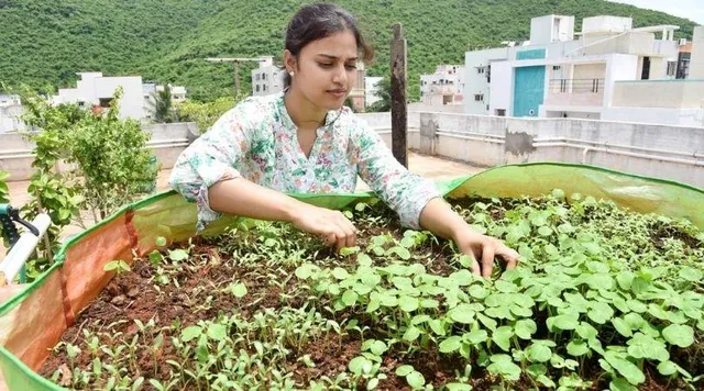 छत पर फूल और सब्ज़ियों के साथ-साथ उगाई रागी, अब पंछियों को मिलता है भरपूर खाना