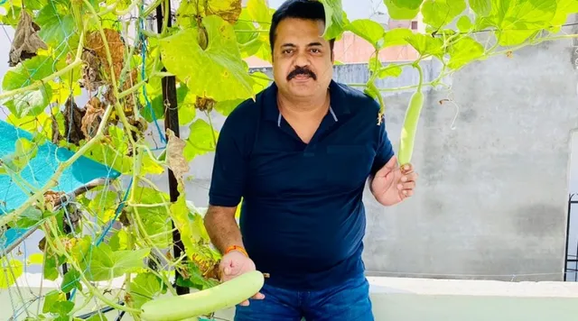 3जी कटिंग से करते हैं छत पर खेती, पड़ोसियों के घर भी पहुँचती हैं इनकी सब्जियां