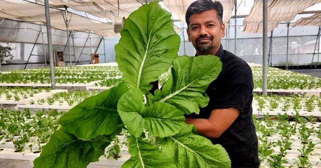 IT सेक्टर की जॉब छोड़ लगवा रहे हैं लोगों के बगीचे, 5000 से भी अधिक हैं इनके संतुष्ट ग्राहक