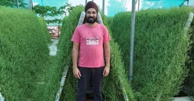 punjab farmer