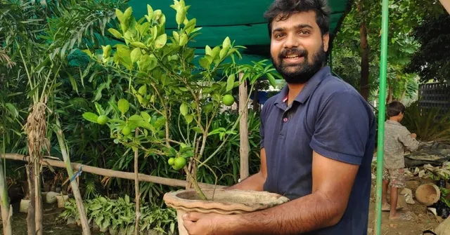 इम्युनिटी बढ़ाने के लिए बढ़ रही है नींबू की खपत, जानें कैसे गमले में उगा सकते हैं इसे