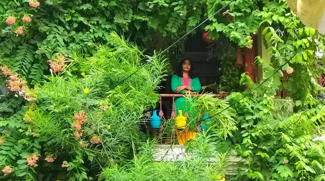 लखनऊ: बागवानी से बालकनी को दिया ऐसा रूप कि रास्ते में रुककर निहारते हैं लोग