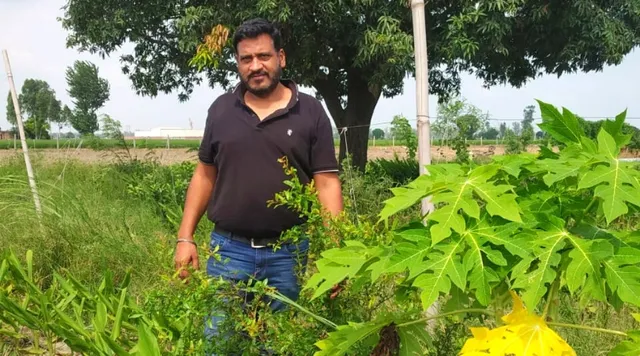 खेती का बिज़नेस मॉडल: खुद उगाकर घर-घर जैविक सब्ज़ी पहुंचाते हैं, खोला ग्रोसरी स्टोर भी