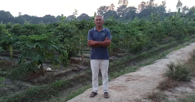 Natural Farming