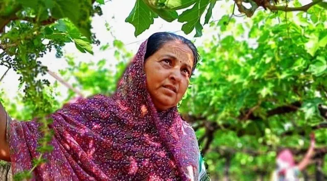 कभी था 30 लाख का कर्ज, अब अंगूर की खेती से हर साल कमातीं हैं 40 लाख