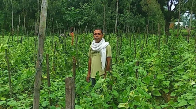 MBA ग्रैजुएट ने खेती को बनाया बिज़नेस, 22 कामगारों को दिया रोज़गार, हर महीने देते हैं सैलरी