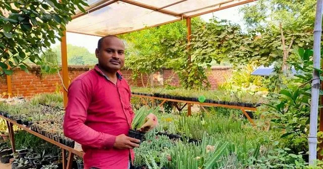 Gardening in UP