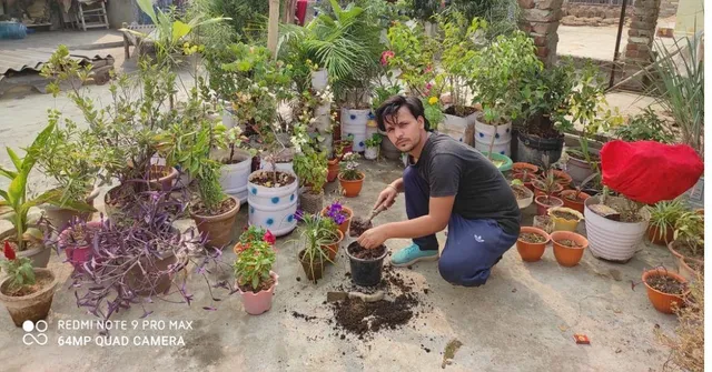 terrace gardening in delhi