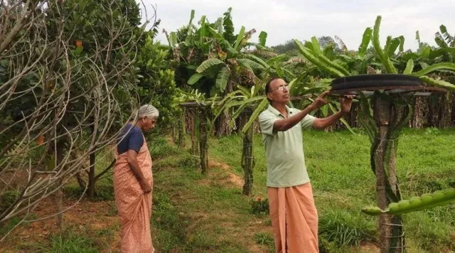 Retired Kerala Couple