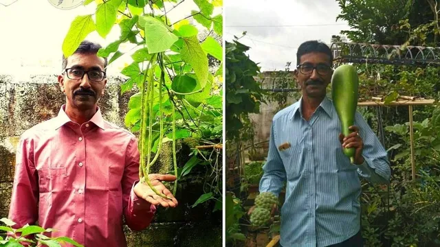 Bengaluru Man Growing Vegetables