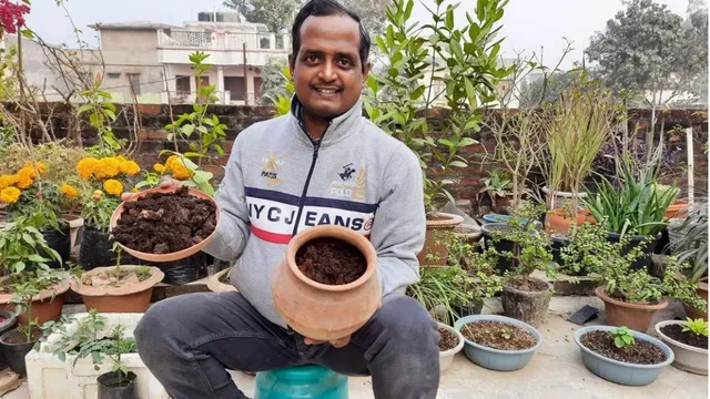 इस्तेमाल की हुई चायपत्ती से बन सकता है बेहतरीन खाद, जानिए कैसे