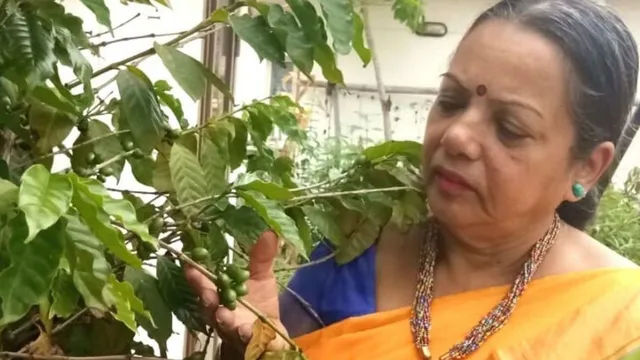 Grow Coffee: जानिए कैसे अपने घर में ही उगा सकते हैं कॉफ़ी