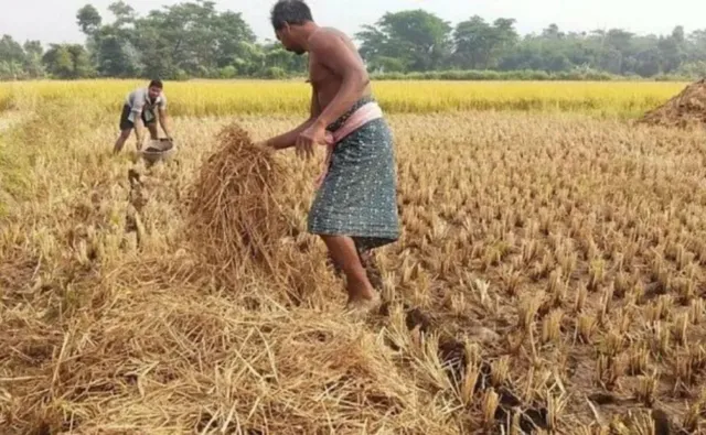 Innovative Farmer
