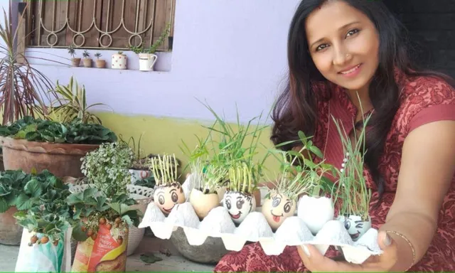 अंडे के छिलकों तक में पौधे उगातीं हैं यह गृहिणी