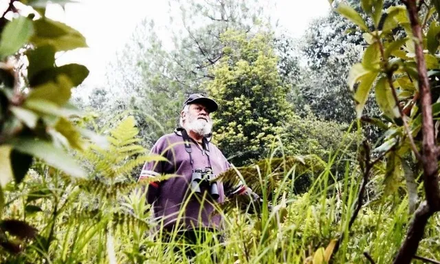 Forest Conservation
