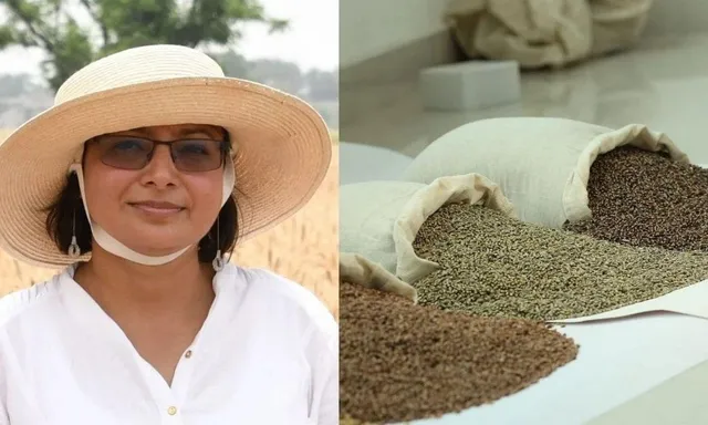 black wheat