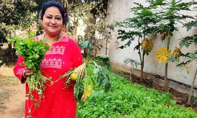 गृहिणी ने सरकारी अस्पताल में उगाई सब्ज़ियां, ताकि मरीज़ों को मिले पोषक भोजन