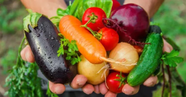 Vegetables To Grow In May