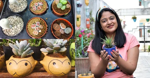 How To Care For Succulents