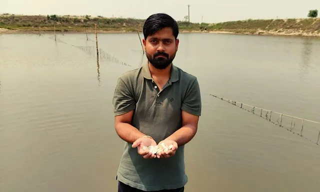 Pearl And Fish Farming