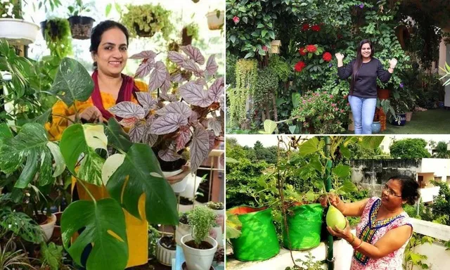 5 यूट्यूब चैनल, जहाँ से आप सीख सकते हैं गार्डनिंग