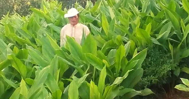 सेना से रिटायर होकर शुरू की खेती, कर्नल से बन गए 'द टर्मरिक मैन ऑफ हिमाचल'
