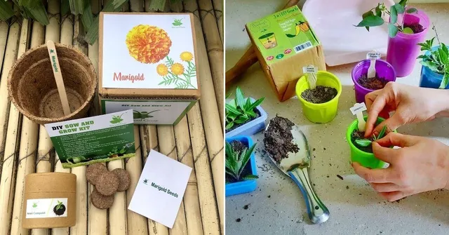 5 ऑनलाइन शॉप, जहाँ से खरीद सकते हैं Gardening Kit!