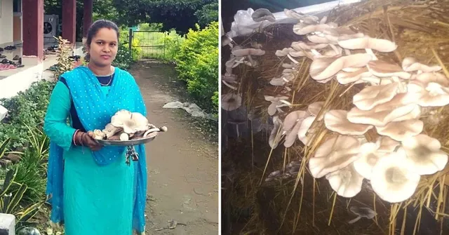 बेकार पराली से उगाये मशरूम, कमाई बढ़कर हो गयी 20 लाख