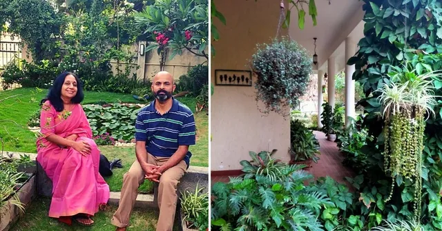 house garden