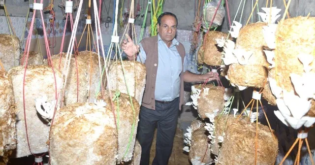 16 किस्म के मशरूम उगाकर हर महीने रु. 5 लाख कमाता है यह किसान