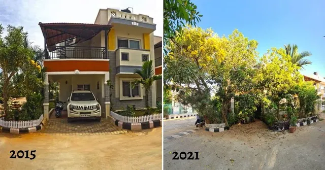 Couple Created Mini Jungle
