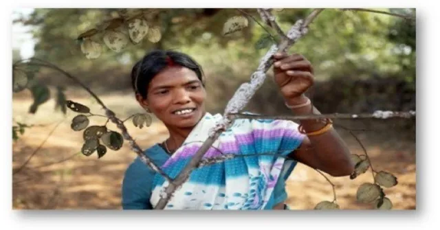 Women Lac farmers