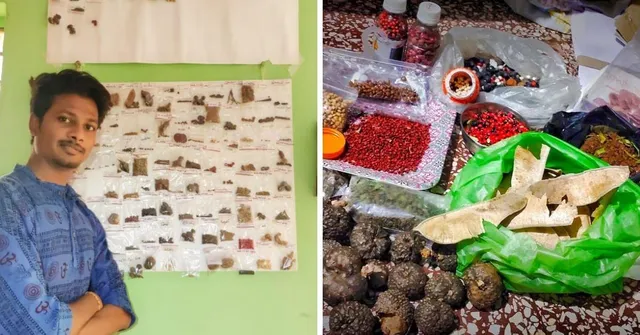 (free seed bank)